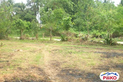 Picture of Commercial Lot for sale in Island Garden City of Samal in Davao del Norte