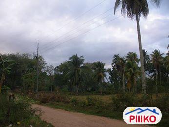 Residential Lot for sale in Island Garden City of Samal - image 6