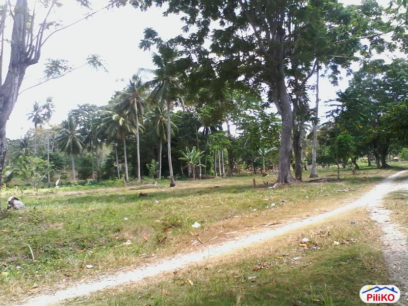 Residential Lot for sale in Island Garden City of Samal - image 10