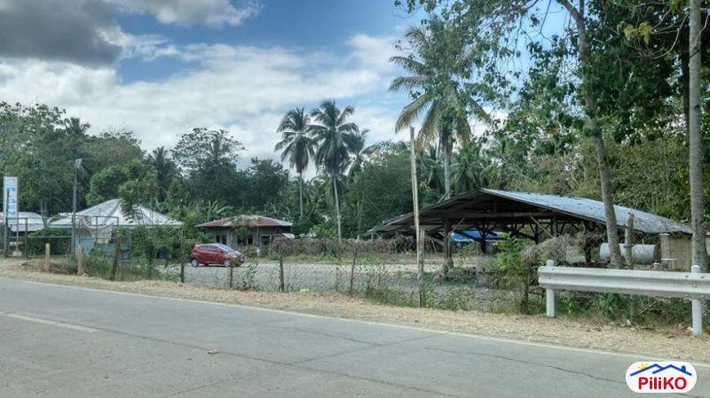 Pictures of Warehouse for sale in Island Garden City of Samal