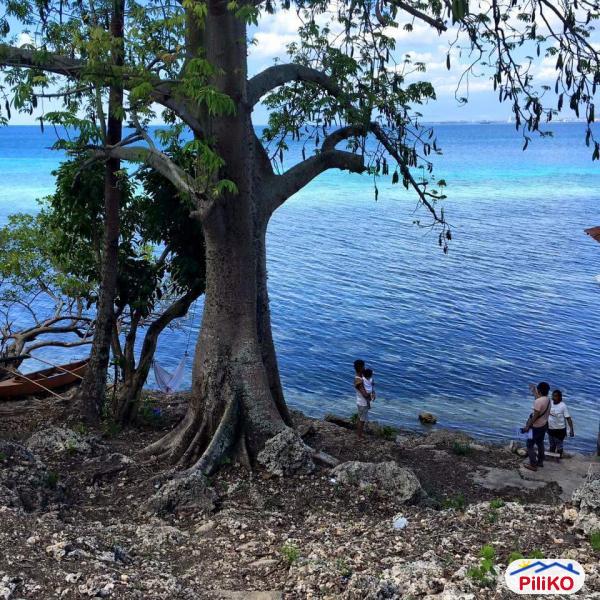 Pictures of Residential Lot for sale in Island Garden City of Samal