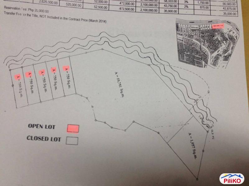 Pictures of Residential Lot for sale in Island Garden City of Samal