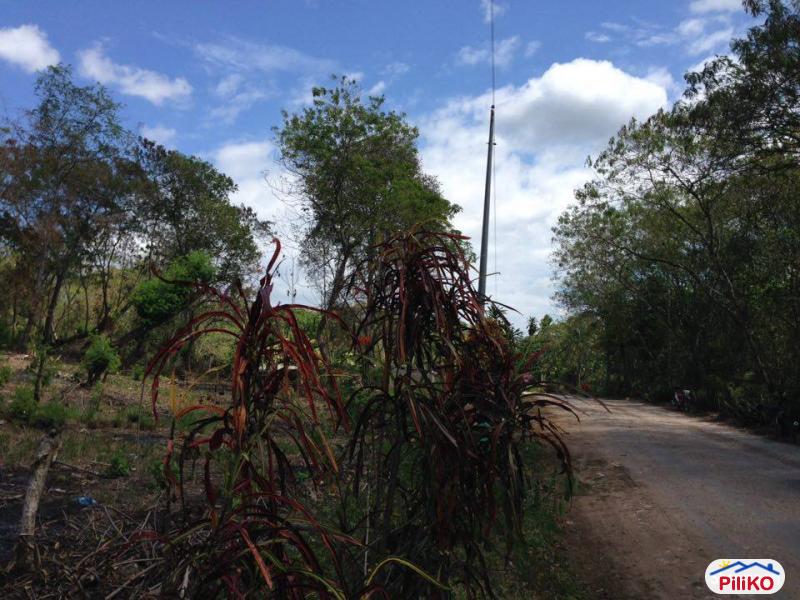 Commercial Lot for sale in Island Garden City of Samal - image 2