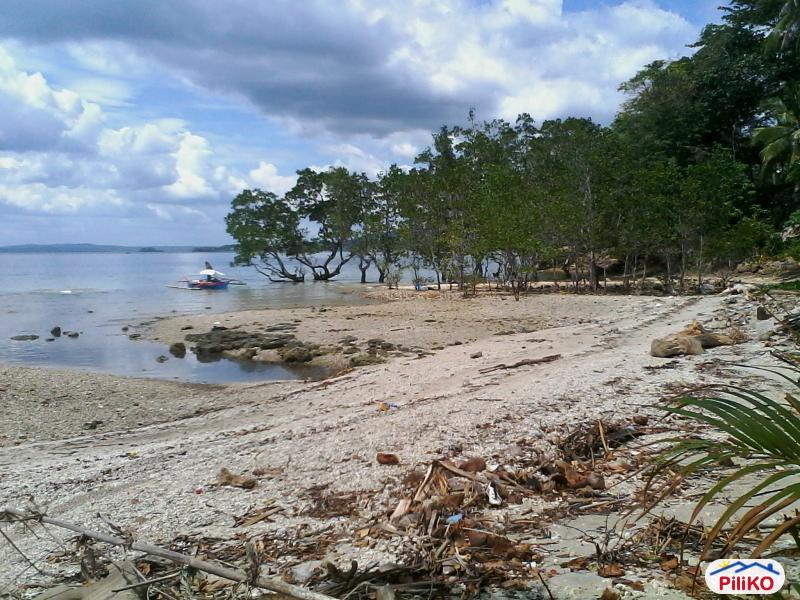 Residential Lot for sale in Island Garden City of Samal - image 2