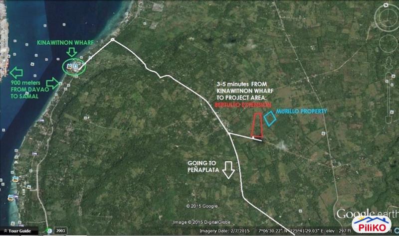 Residential Lot for sale in Island Garden City of Samal - image 2