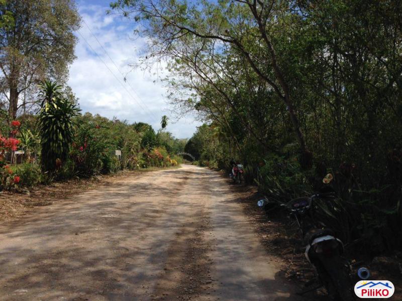 Commercial Lot for sale in Island Garden City of Samal - image 3