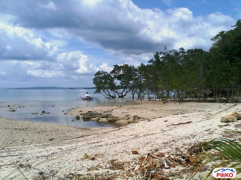 Residential Lot for sale in Island Garden City of Samal - image 3