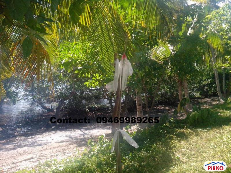 Residential Lot for sale in Island Garden City of Samal - image 3
