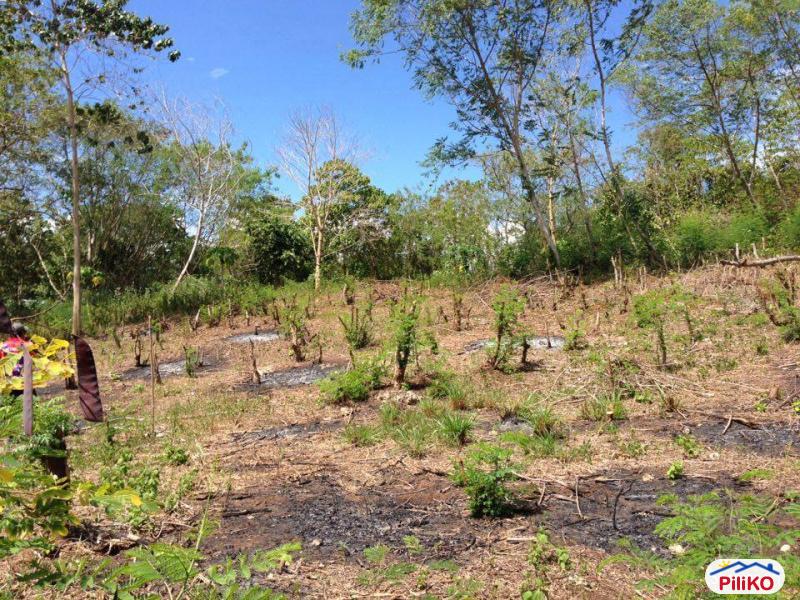 Commercial Lot for sale in Island Garden City of Samal - image 4