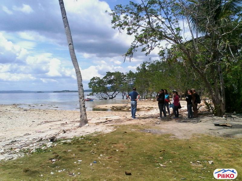Residential Lot for sale in Island Garden City of Samal - image 4