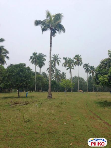 Residential Lot for sale in Island Garden City of Samal in Philippines