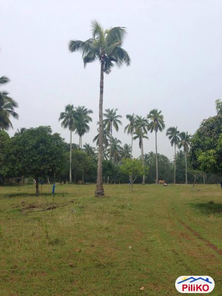 Residential Lot for sale in Island Garden City of Samal - image 4