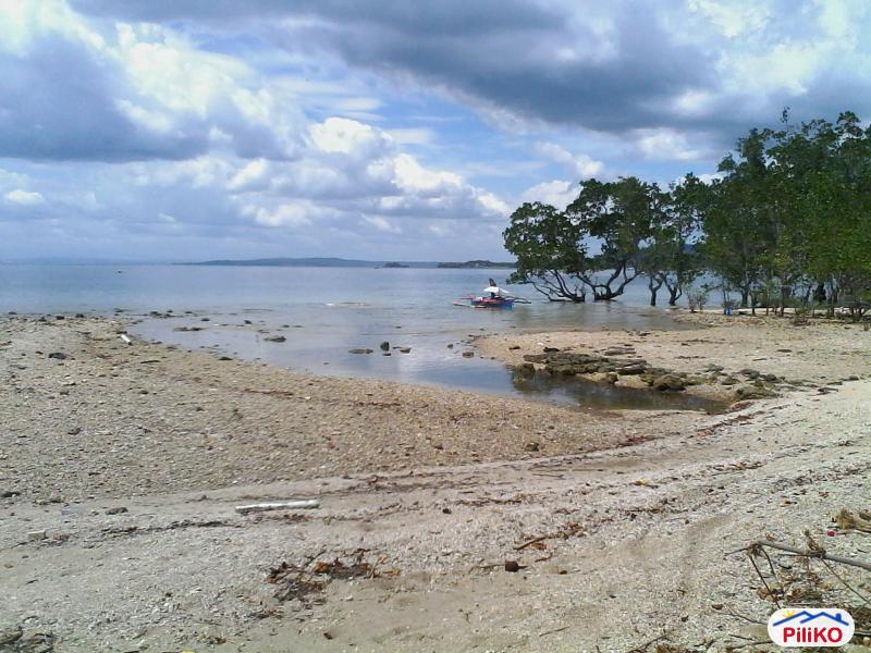 Residential Lot for sale in Island Garden City of Samal - image 5