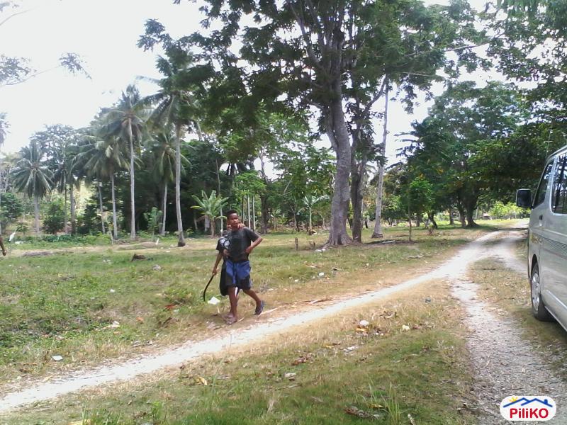 Residential Lot for sale in Island Garden City of Samal - image 5
