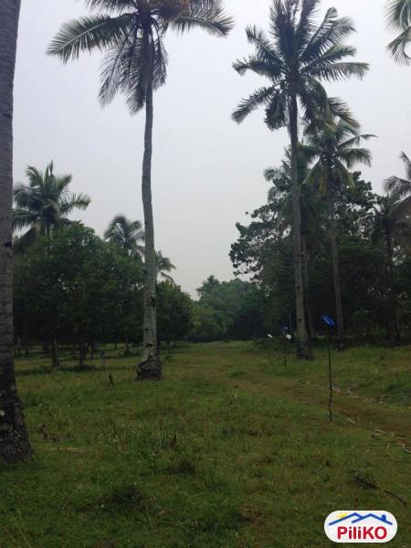 Picture of Residential Lot for sale in Island Garden City of Samal in Davao del Norte