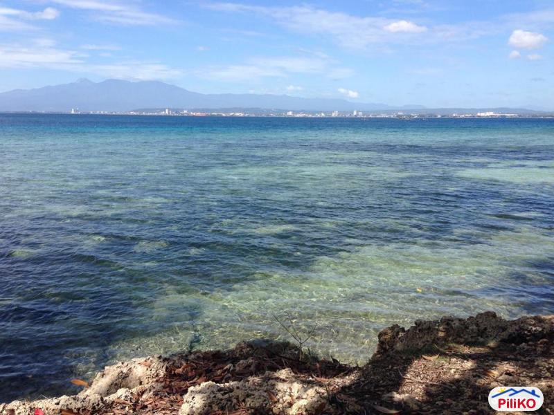Picture of Residential Lot for sale in Island Garden City of Samal in Philippines