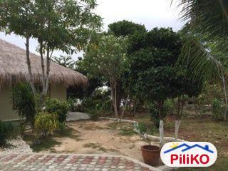 Picture of 3 bedroom House and Lot for sale in Island Garden City of Samal in Philippines