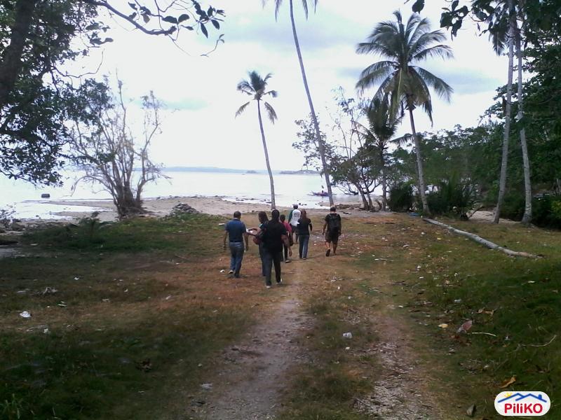 Residential Lot for sale in Island Garden City of Samal - image 7
