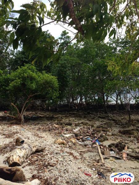 Residential Lot for sale in Island Garden City of Samal - image 7