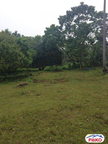 Residential Lot for sale in Island Garden City of Samal - image 7