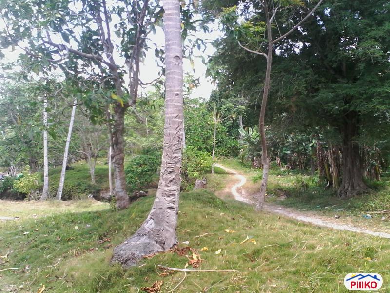 Residential Lot for sale in Island Garden City of Samal in Philippines - image