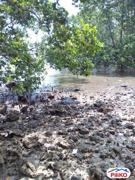 Residential Lot for sale in Island Garden City of Samal - image 8