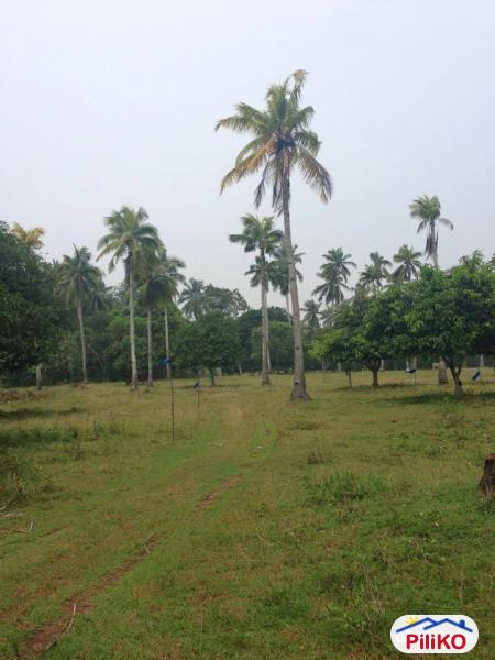 Residential Lot for sale in Island Garden City of Samal in Philippines - image
