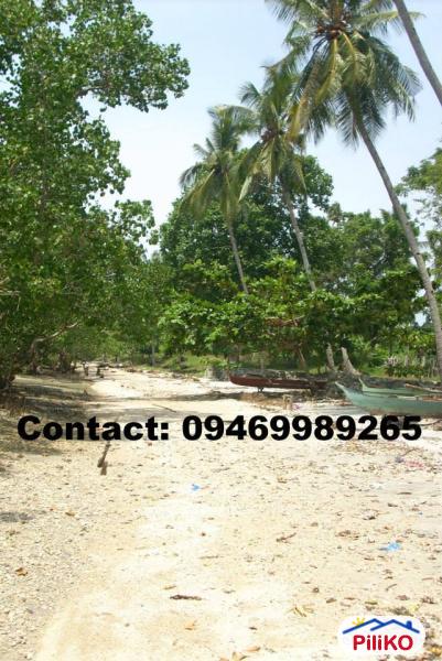 Residential Lot for sale in Island Garden City of Samal - image 9