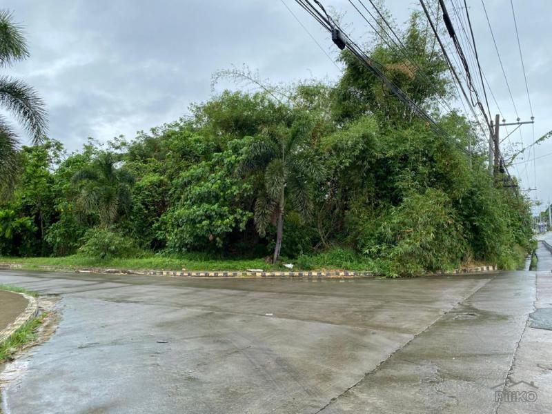 Picture of Commercial Lot for sale in Bauan