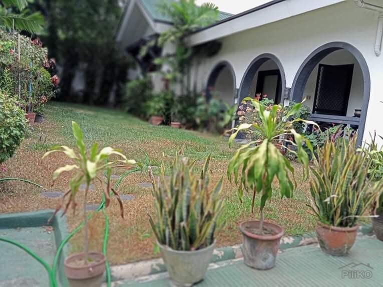Picture of 3 bedroom House and Lot for rent in Pasig
