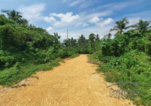 Land and Farm for sale in Burgos in Philippines