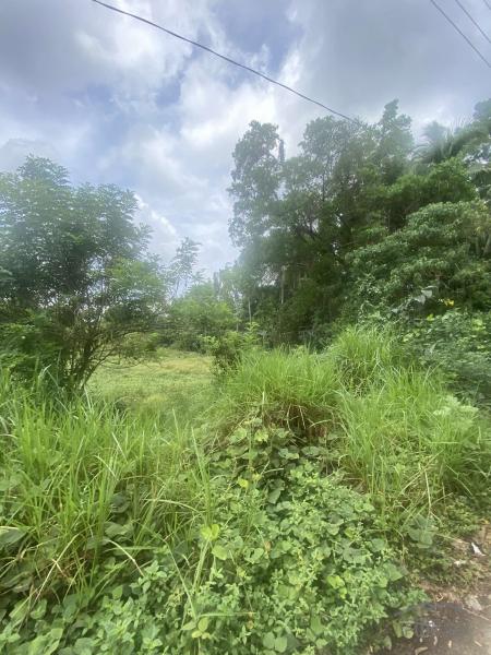 Lot for sale in Lipa - image 2