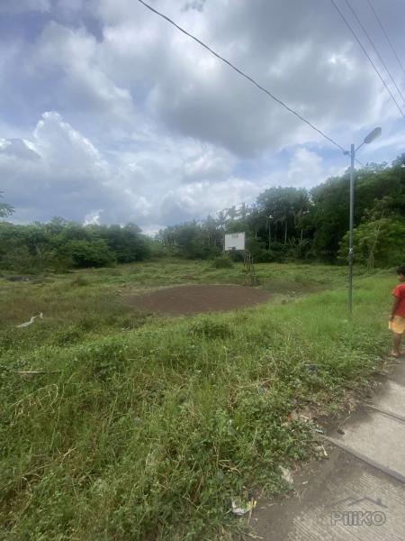 Lot for sale in Lipa - image 3