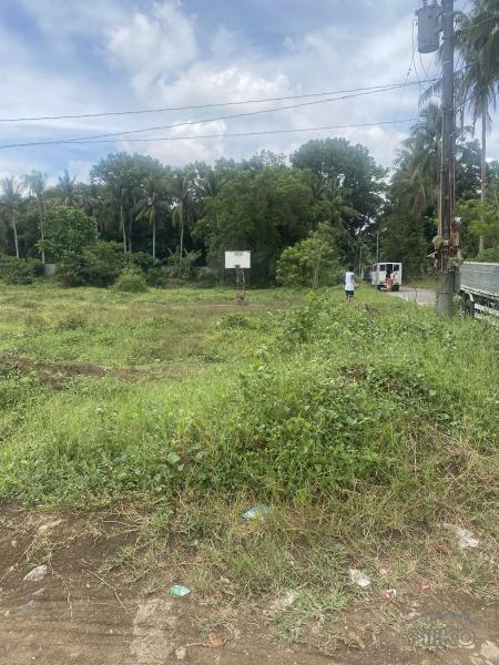 Lot for sale in Lipa - image 4