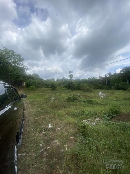 Lot for sale in Lipa - image 5