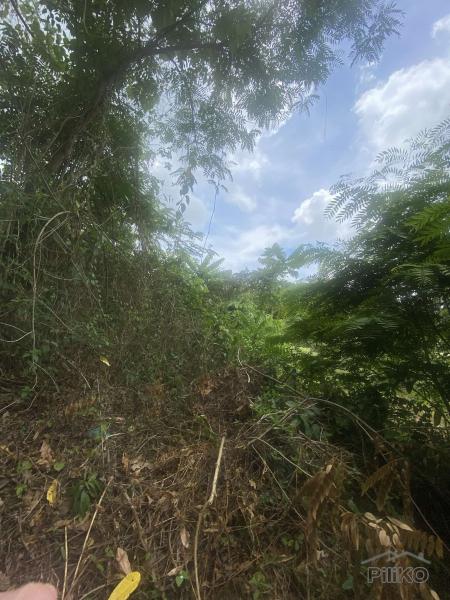 Lot for sale in Lipa - image 6