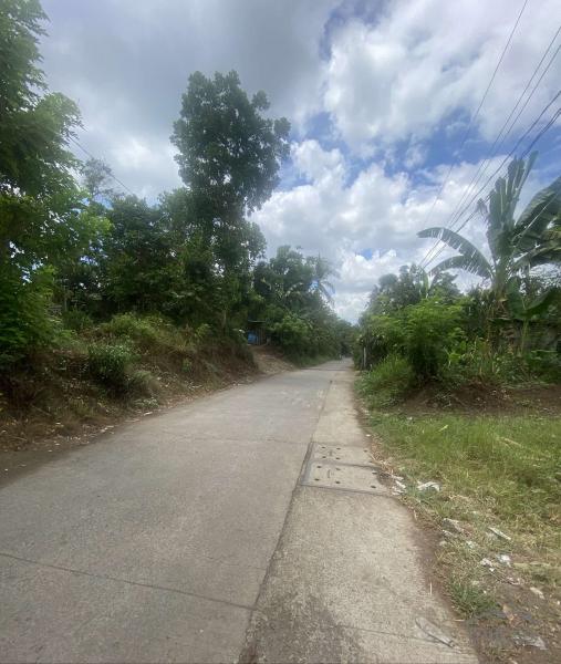 Lot for sale in Lipa - image 8