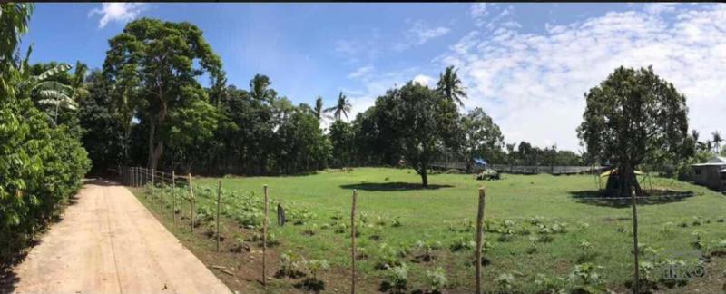 Residential Lot for sale in Lipa