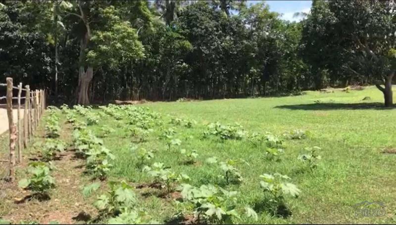 Residential Lot for sale in Lipa in Philippines