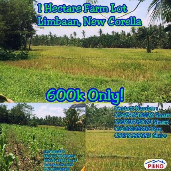 Picture of Agricultural Lot for sale in Other Cities