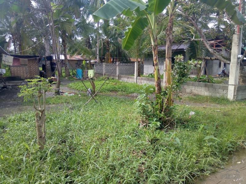 Picture of Residential Lot for sale in Tagum