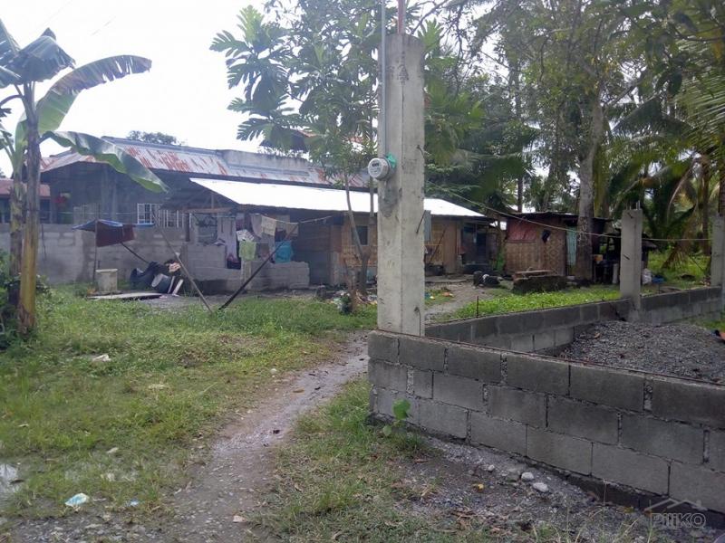 Residential Lot for sale in Tagum - image 2