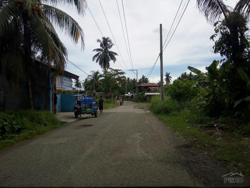 Residential Lot for sale in Tagum in Davao del Norte
