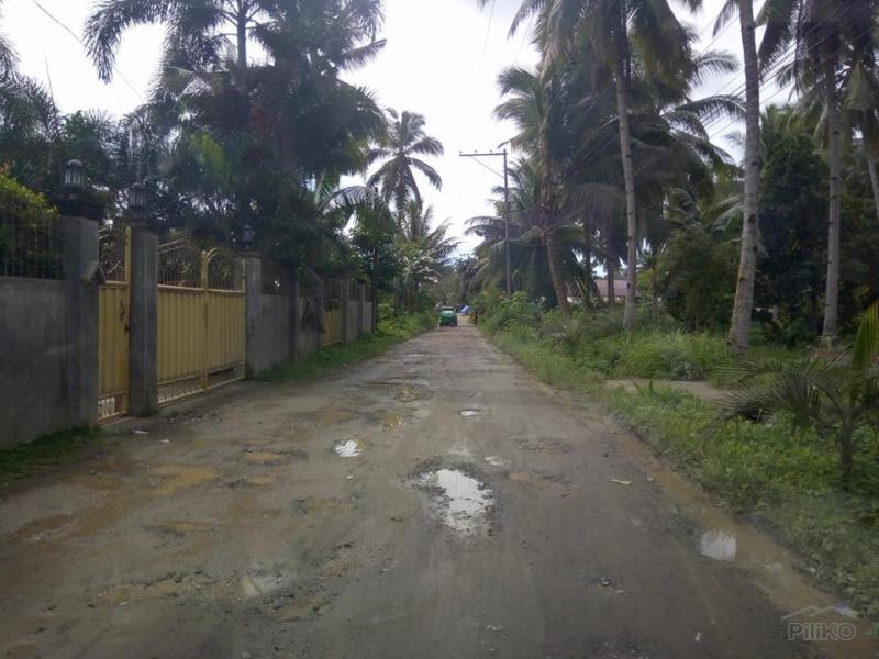 Residential Lot for sale in Tagum in Philippines