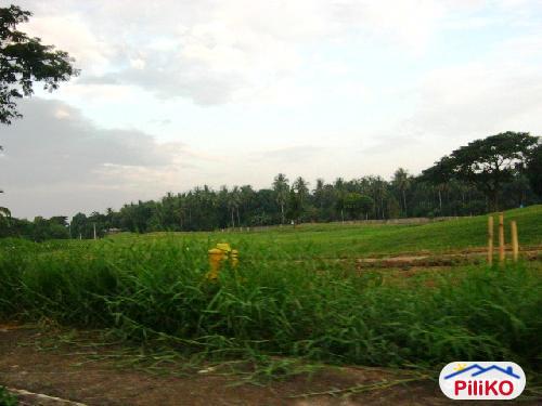 Residential Lot for sale in Davao City - image 3