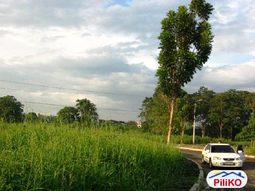 Residential Lot for sale in Davao City - image 4