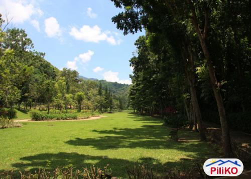 Residential Lot for sale in Cebu City - image 3