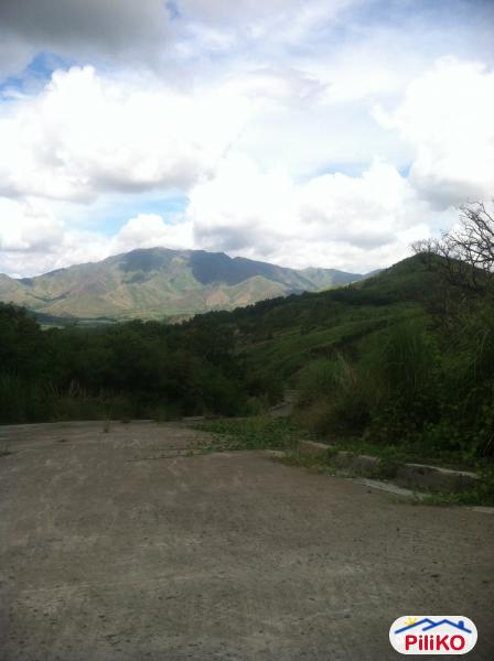 Residential Lot for sale in Subic - image 2