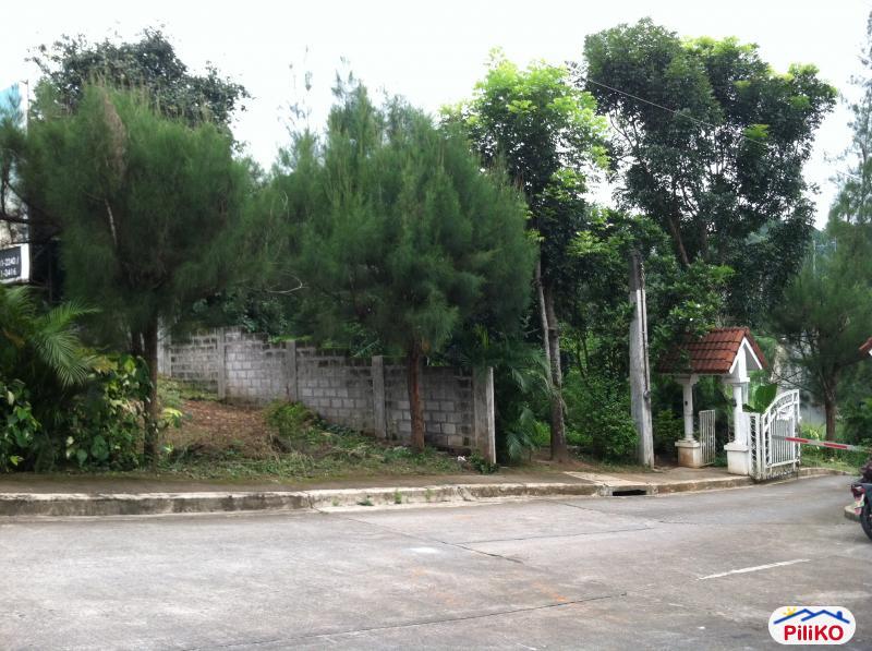 Residential Lot for sale in Antipolo