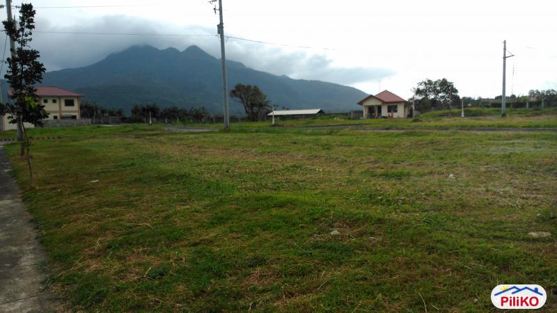 Residential Lot for sale in Santo Tomas - image 3